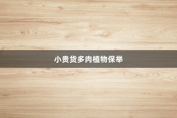 小贵货多肉植物保举